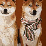 Zierkissenbezug Karl & Barnabe