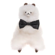 Cuddly Toy Paco