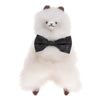 Cuddly Toy Paco