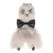 Cuddly Toy Paco