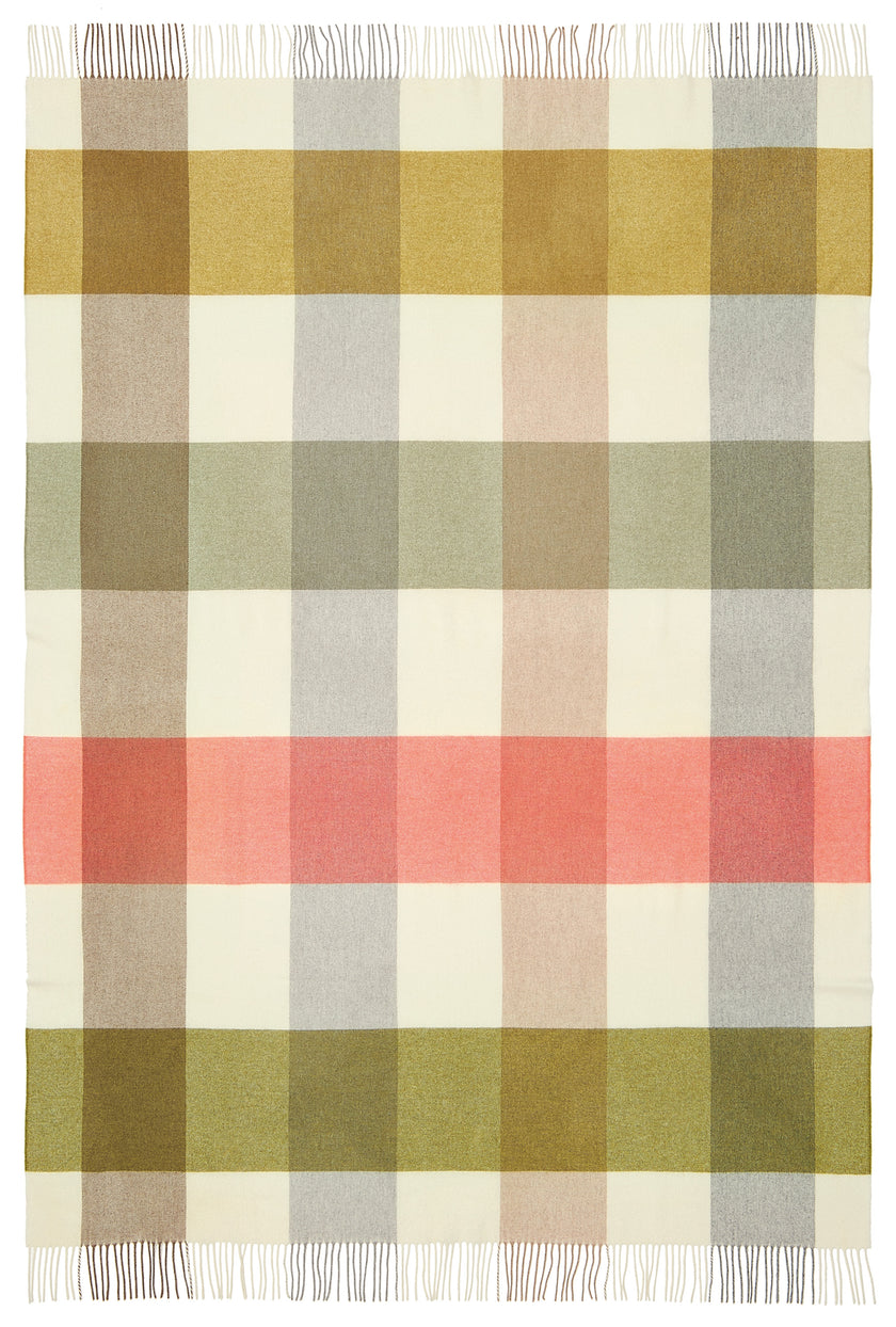 Plaid dublin grüne fuchsia 