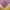 Wohndecke Gradient