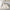 Bed linen Dream Deluxe 2233 Tencel
