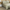 Bed Linen Lush Ajour