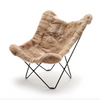 Butterfly Chair